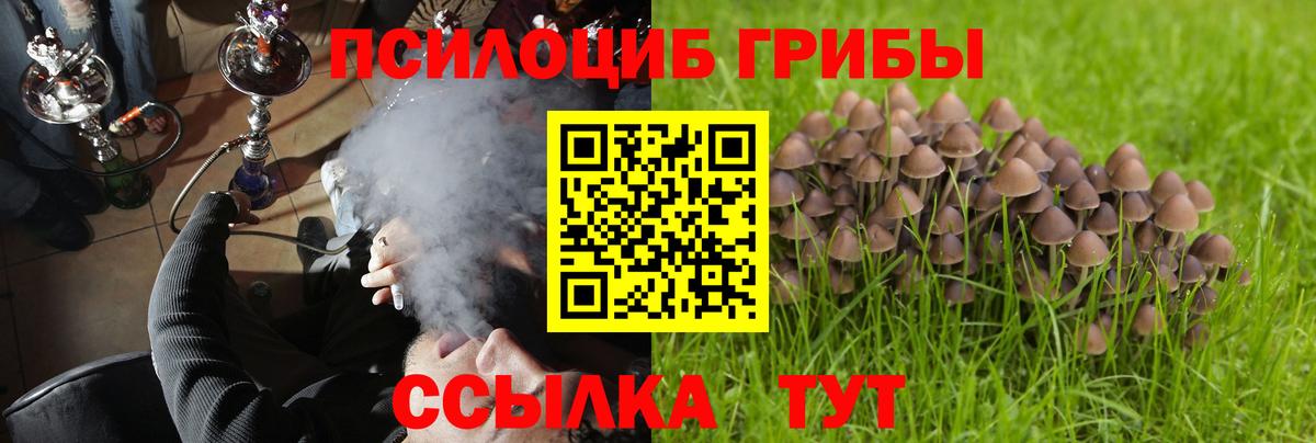 Галлюциногенные грибы MAGIC MUSHROOMS  Вход с VPN  Псилоцибиновые грибы Magic Shrooms  Горячий Ключ 